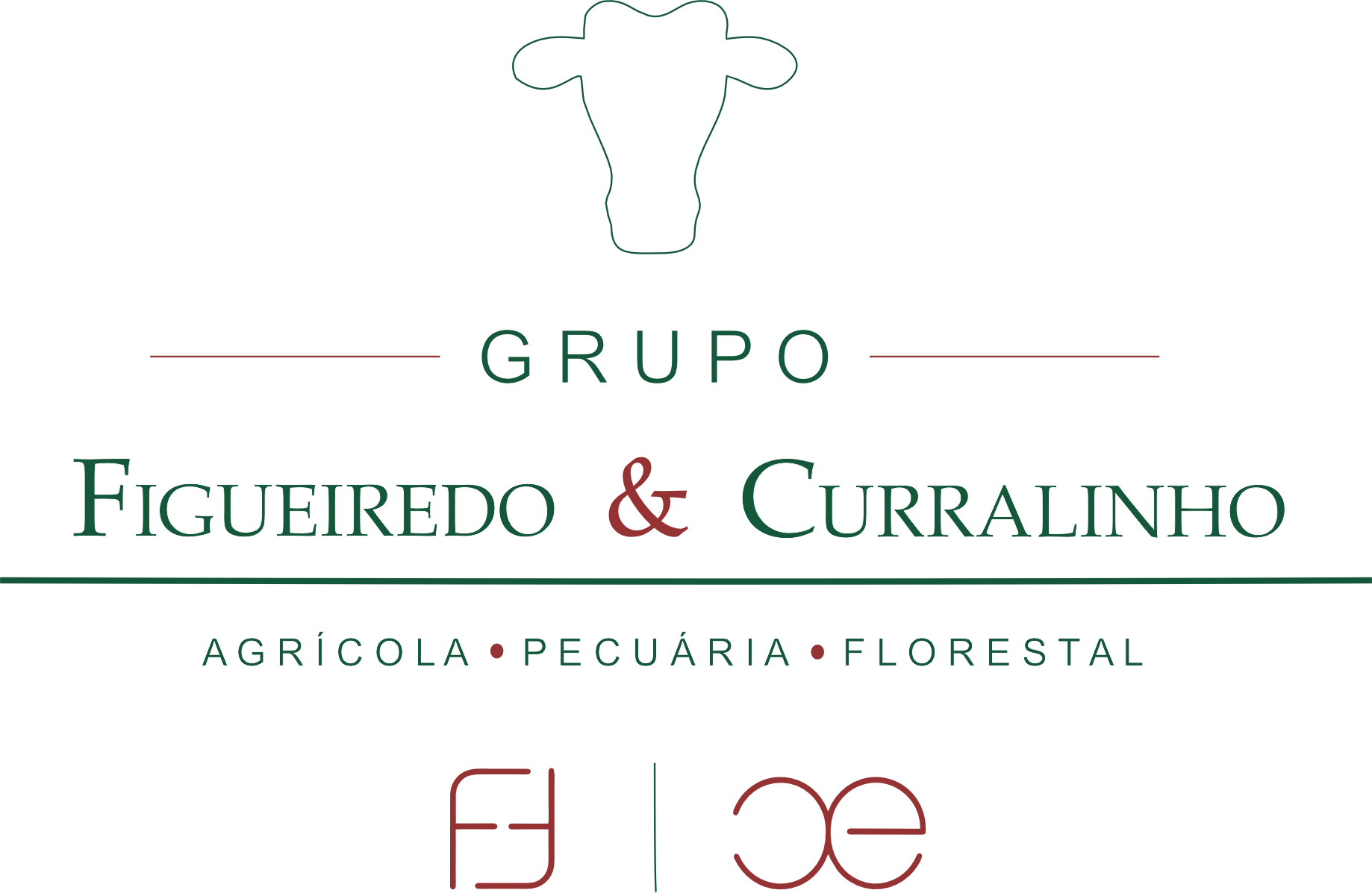 Grupo Figueiredo & Curralinho